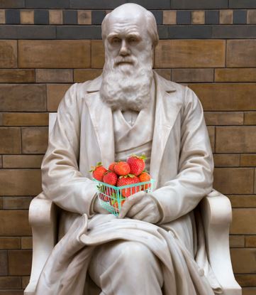 The Fresh Food Industry and Charles Darwin