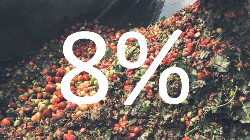 Perishable Food Waste Cuts Profits & Raises Greenhouse Gases
