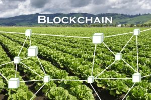 Blockchain and Food Safety