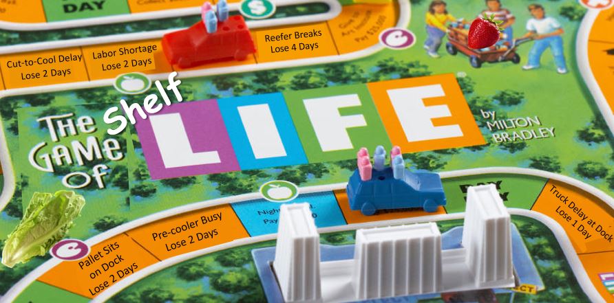 The Game of (Shelf) Life