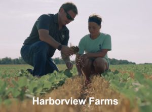 Watch the video of Harborview Farms on Sustainability