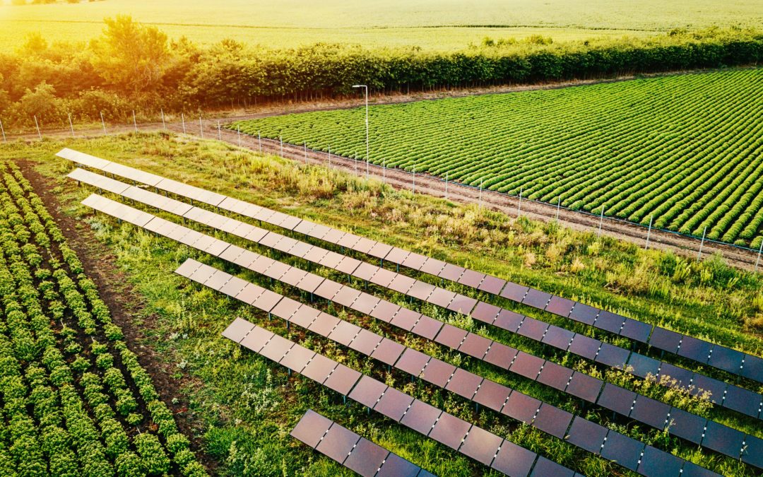 Fresh Food Sustainability – It’s More Than Field to Fork