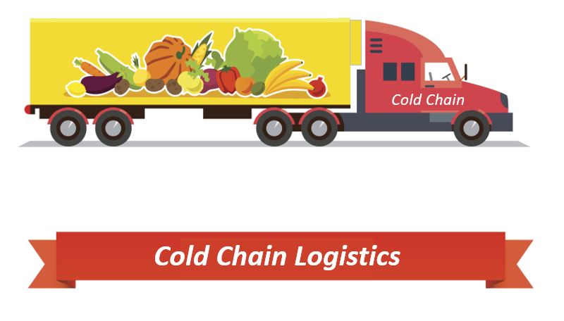 Cold Chain Logistics: Assessing the Challenge